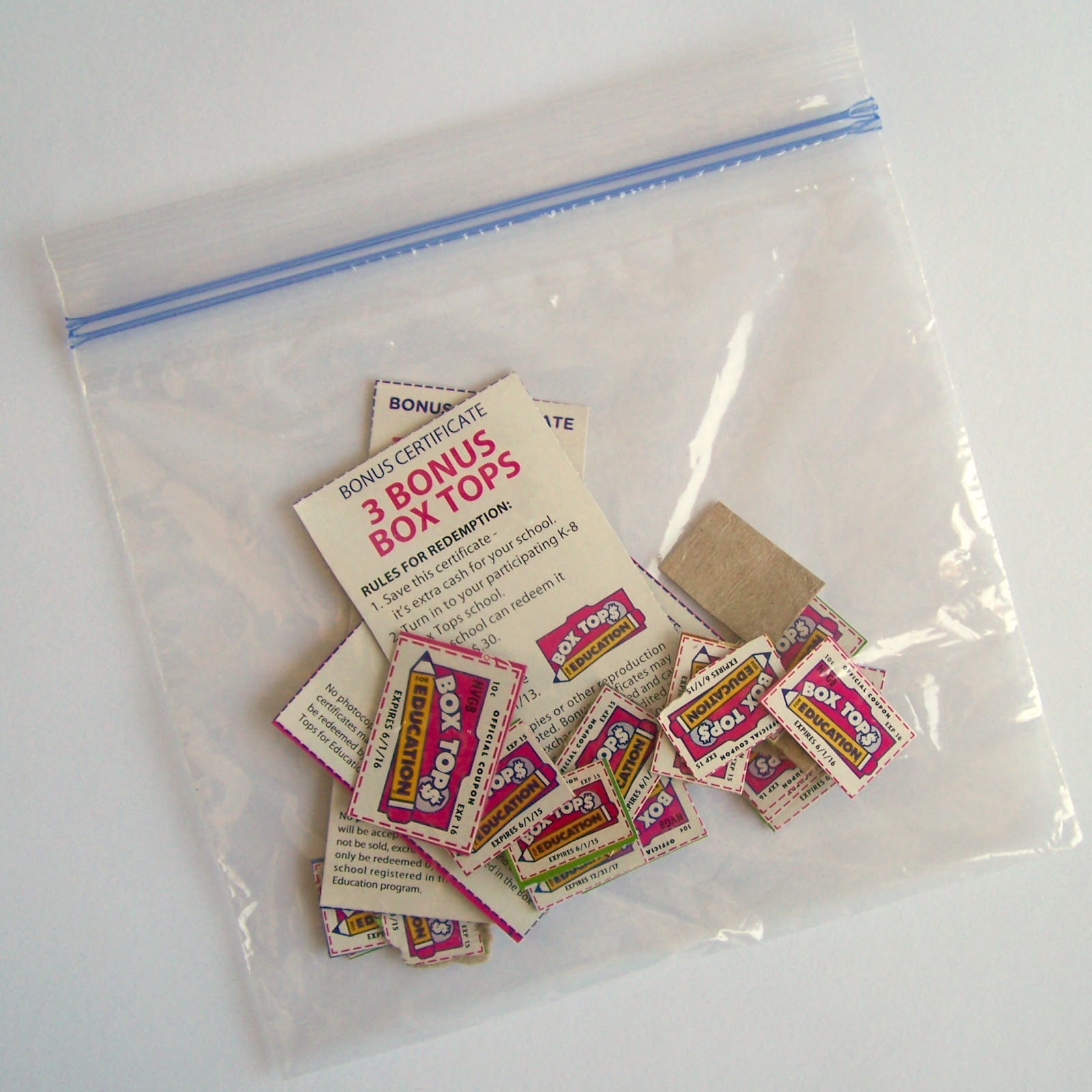 Summer Baggie Competition Grace Abbott PTO